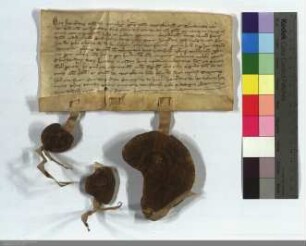 Hartrad Herr v. Mehrenberg, Propst von Wetzlar, seine Mutter Gertrud und sein Neffe Hartrard rekognosciren den Kauf von Gütern in Dudenhofen, den ...