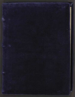 Horae beatae Mariae virginis - Hofbibliothek Aschaffenburg Ms. 9