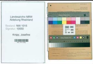 Entnazifizierung Josefine Knipp , geb. 19.03.1906 (Verkaeuferin)