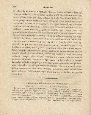 Figurarum tabulis aeri insculptarum