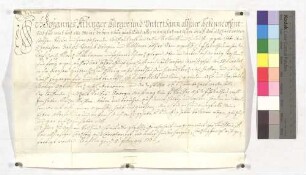 Kaufbrief von Johannes Albinger, Bürger zu Söflingen, gegen Joseph Straub, Bürger zu Söflingen, um 1/2 Jauchert Acker für 96 Gulden.