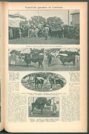 Exposición ganadera de Corrientes