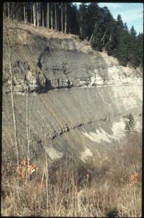 Die Wutach bei Aselfingen
