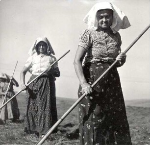 Frauen in Volkstracht in Panschwitz-Kuckau : Kleidung - katholische Tracht. Ort: Pančicy-Kukow / Panschwitz-Kuckau. Frauen in Volkstracht bei der Grumtarbeit (Landarbeiterinnen des Klosters St. Marienstern)
