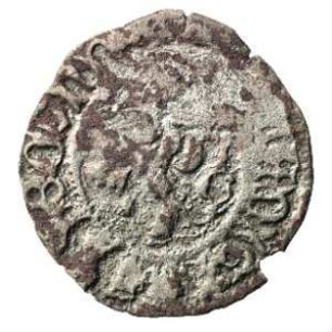 Fundmünze, Weißpfennig, 1471 - 1516