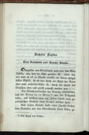 Sechstes Kapitel: Don Quichotte und Sancho Pansa