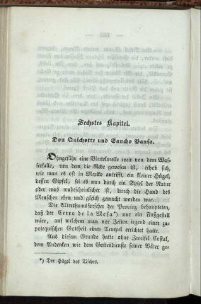 Sechstes Kapitel: Don Quichotte und Sancho Pansa