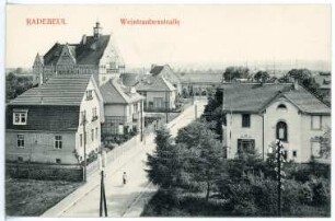 Radebeul. Weintraubenstraße