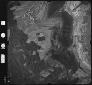Luftbild: Film 889 Bildnr. 169