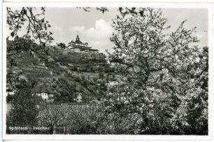 Radebeul. Spitzhaus - Oberlößnitz