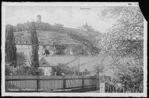 Radebeul. Hoflößnitz - Spitzhaus