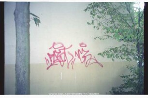 "PASt" NCS