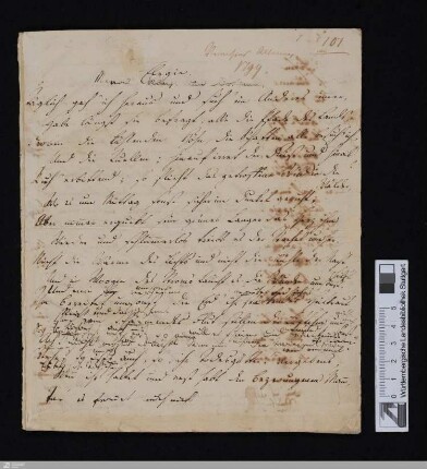 Elegie - Homburg.D : [StA 2,71/548]