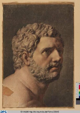 Diomedes