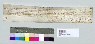 Papst Innozenz XII. verleiht der Heilig-Kreuz-Kirche in Regensburg einen Ablass. S: A