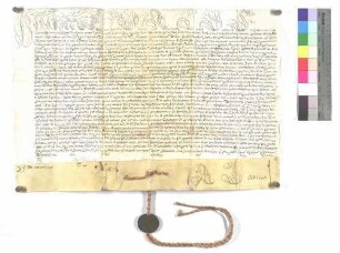 Bulle über die Aufschwörung des Ellwanger Kapitularen Johann Anton Albert von Freyberg.