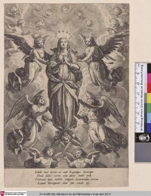 [Mariä Himmelfahrt; Assumption of the virgin in three cherubs]