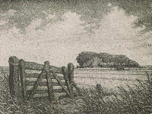 Gehöft in der Marsch