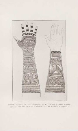 Tattoo designs on the forearms of Kayan and Kenyah women ...