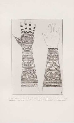 Tattoo designs on the forearms of Kayan and Kenyah women ...