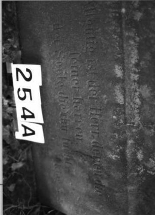 Grabstein 254 (Index: 100085179) Zustand: Vorne-verwitt. /hinten gesprung. /Textverl Maße HxBxT: 167x70x22 cm Beschreibung: Stele, Aufsatz mit Mittelakroter: Grabstein 254A