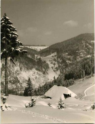 Im St. Wiilhelmer Tal