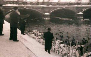 Potsdam: Schwan- und Lietzenfütterung, Brücke im Hintergrund
