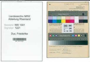 Entnazifizierung Friederike Dux, geb. 06.09.1901 (Kauffrau)