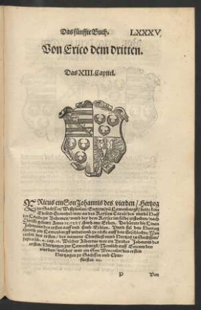 Von Erico dem dritten. Das XVII. Capitel.