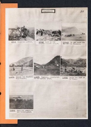 Albumblatt 85 mit Angebotsserie "Argentinien"