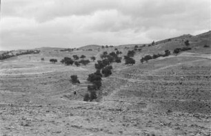 Schichtstufen bei Yafran (Libyen-Reise 1938)