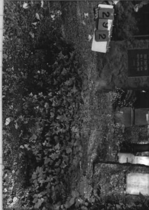Grabstein 292