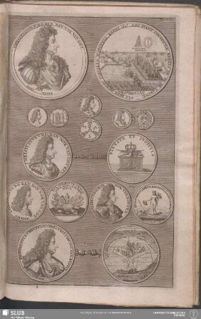 Tab. XVII