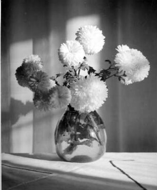 Blumen in Vasen. Chrysanthemen in einer kugeligen Glasvase