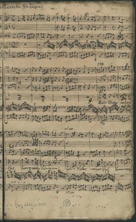 Die Tugend - Mus.3602-L-500 : V (2), strings, bc, cemb