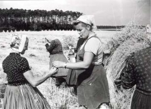 Frauen bei der Feldarbeit : Ort: Slepo / Schleife. Frauen in Arbeitstracht der Schleifer Region bei der Feldarbeit.