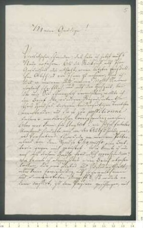 Brief von Hermann Nicolai an Antonie von Chamisso