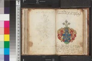 Magyaradi, Szaniszló; Blatt 79