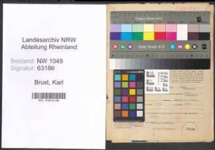 Entnazifizierung Karl Brust , geb. 28.06.1896 (Schreiner)