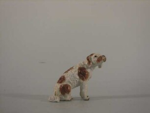 Spaniel