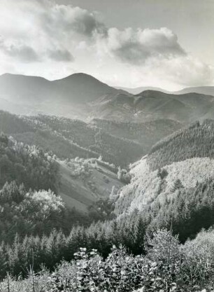 Der Hochschwarzwald im mittleren Schwarzwald