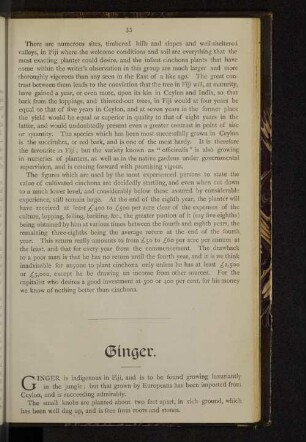 Ginger.