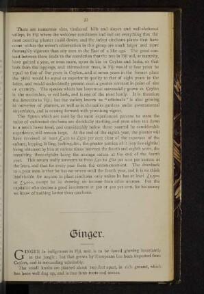 Ginger.