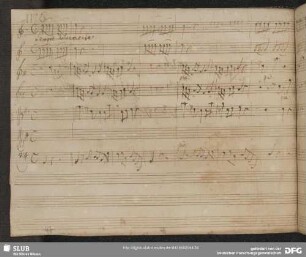 Aria: Languido al par del guardo