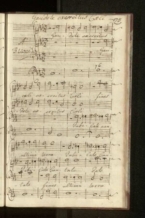 Gaude exercitus Caeli
