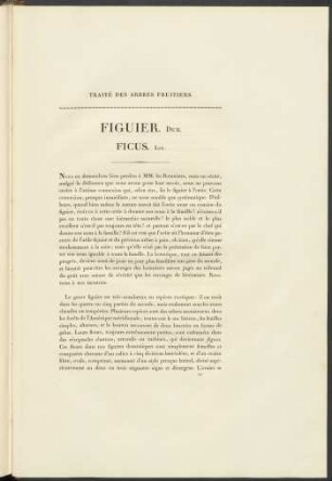 Figuier. Duh. Ficus. Lin.