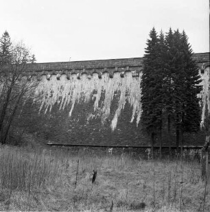 Chemnitz-Einsiedel. Talsperre Einsiedel (1891/1894). Staumauer. Teilansicht von der Luftseite