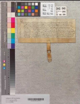 Lehnbrief Abt Hermanns von Corvey für die Stadt Werl über einen Hof zu Büderich.