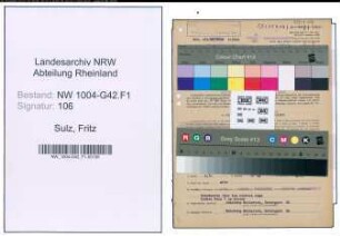 Entnazifizierung Fritz Sulz , geb. 06.04.1888 (Polier)