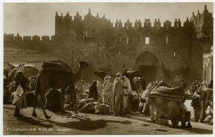Jerusalem Wheat Market [Kamele]